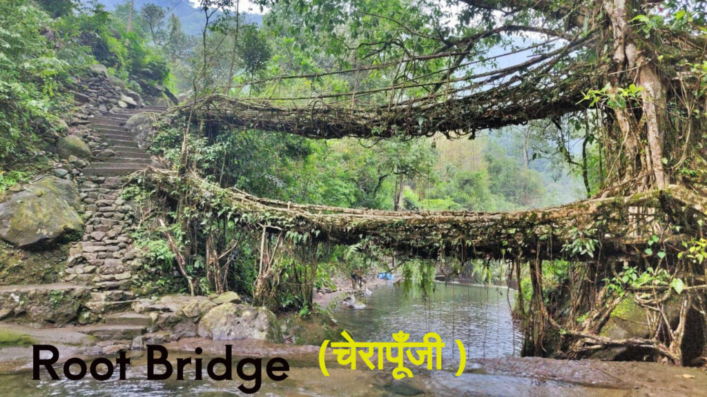 Root Bridge (Meghalaya)